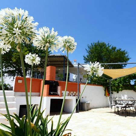 Villetta Panoramica Ostuni Extérieur photo